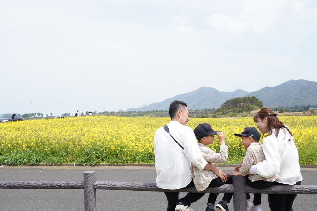 移住者に人気の穏やかな島暮らし