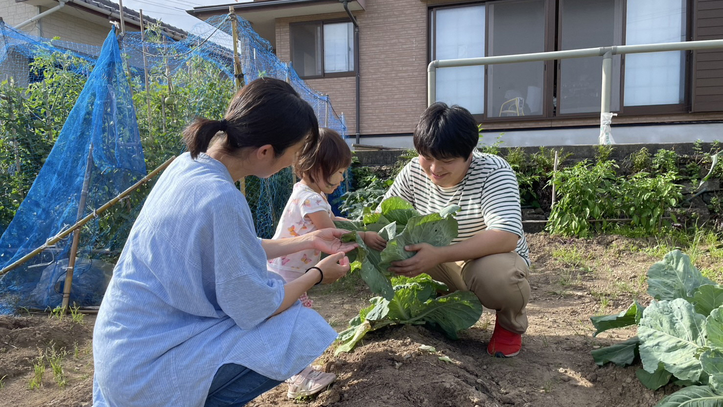 暮らしの情報