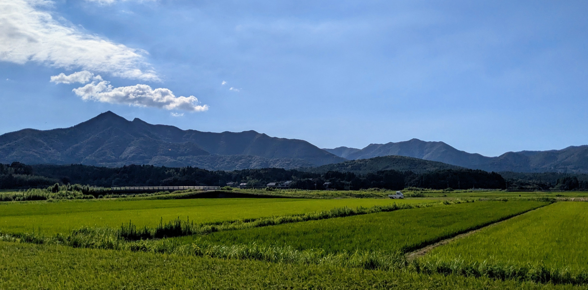 五島市への移住の傾向