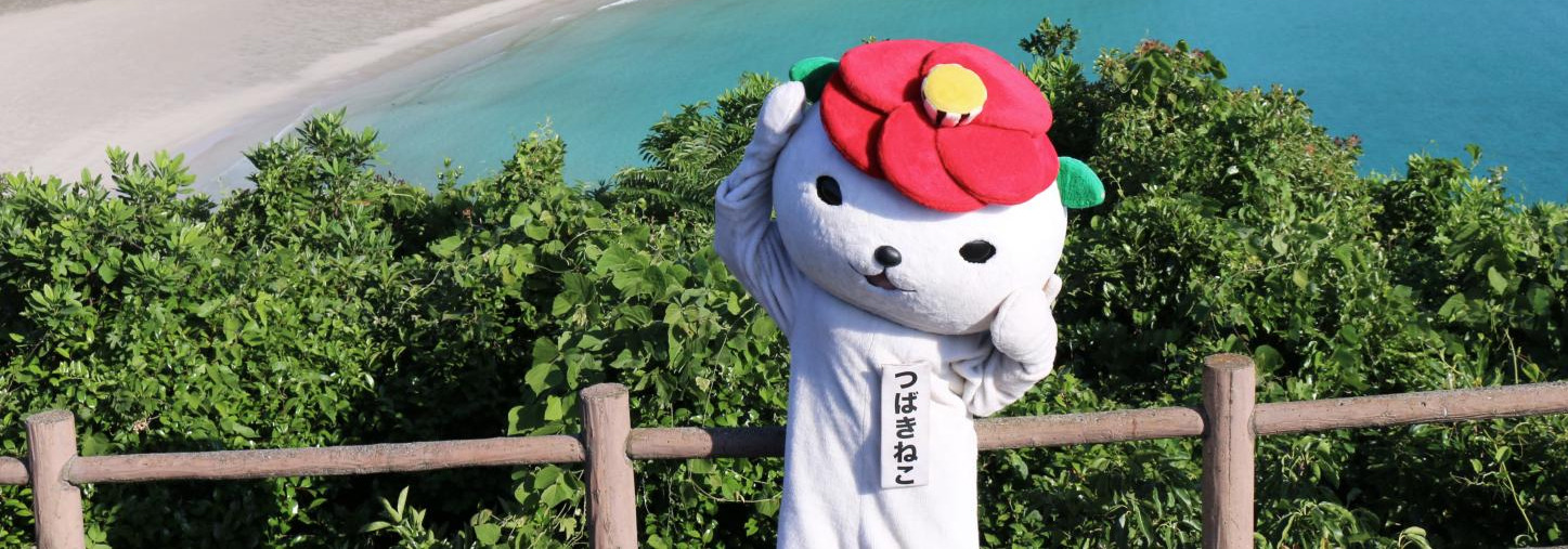移住までのステップ