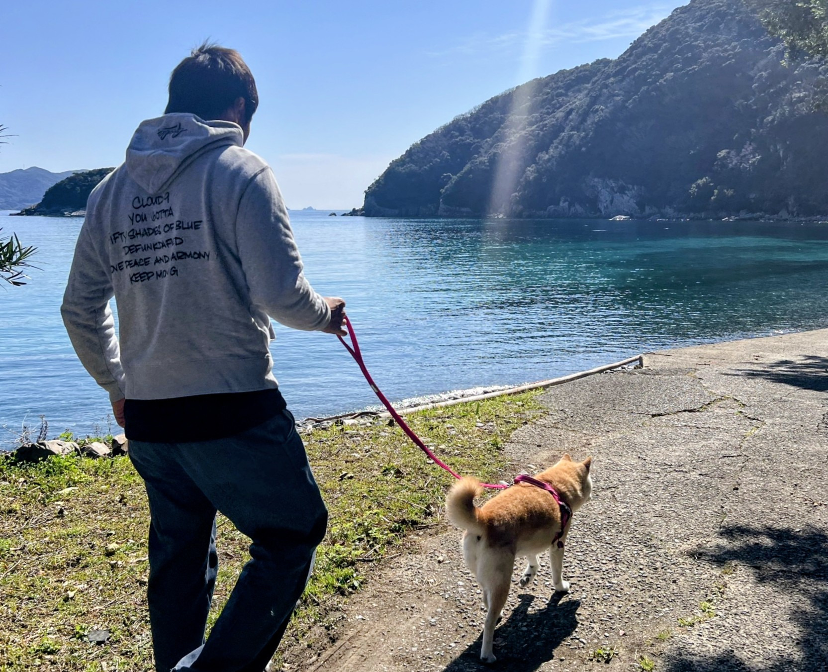 ペットと移住！知っておくべき事前準備と島のペット事情