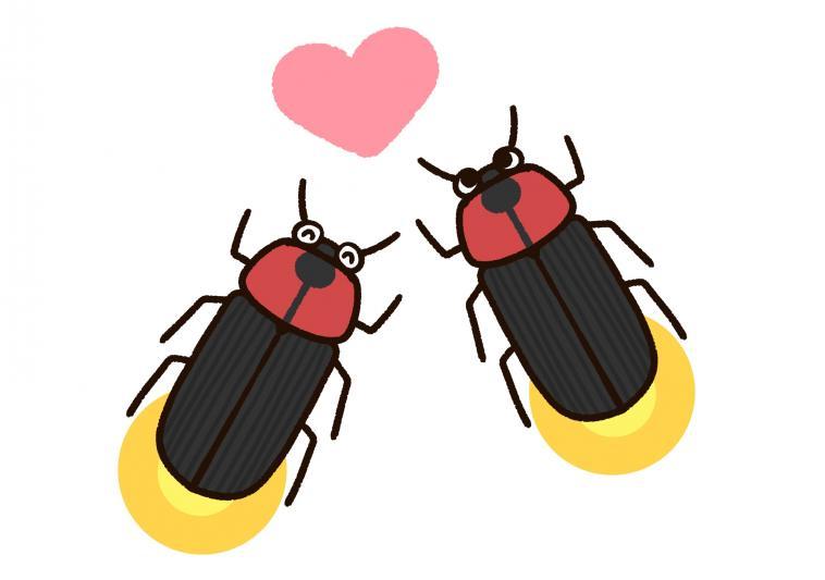 螢火蟲為什麼會發光?-1