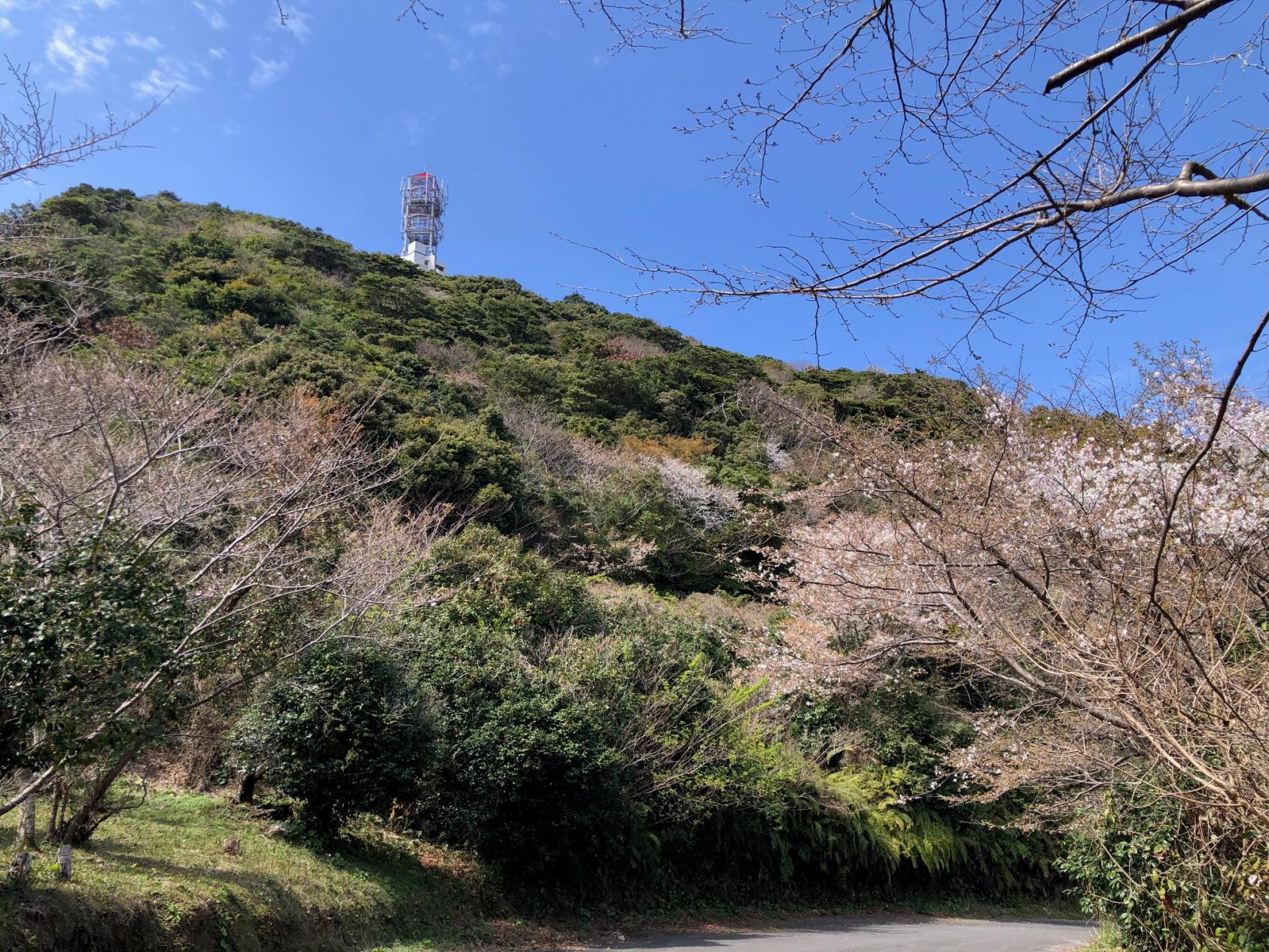 城岳展望所（しろたけてんぼうしょ）-1