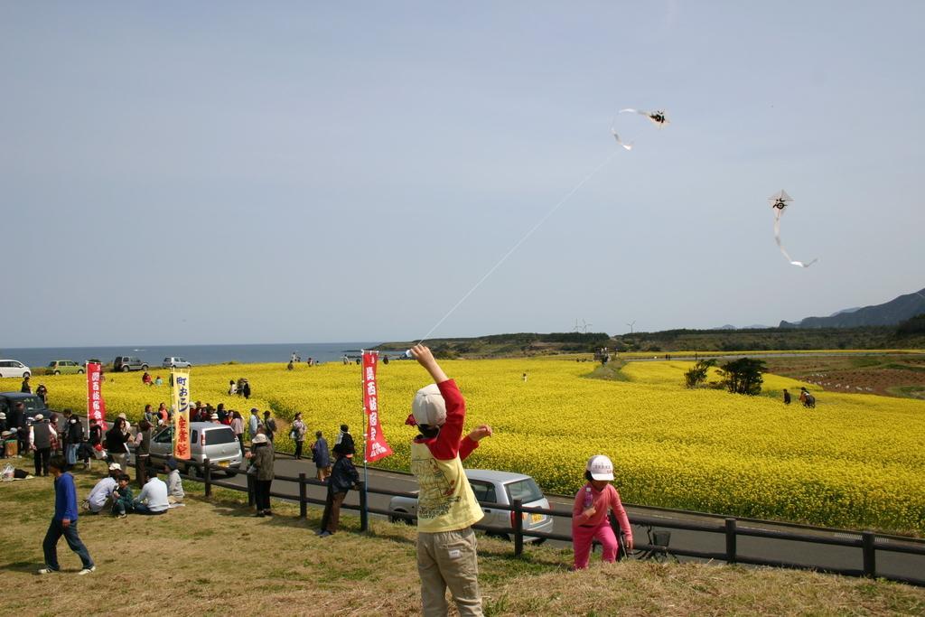 Gyogasaki Canola Festival-1