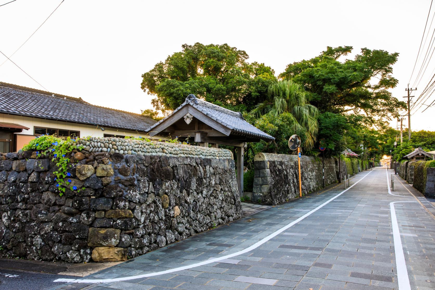 Street of the Samurai Quarter/Furusatokan Pavilion in the Samurai Quarter-1