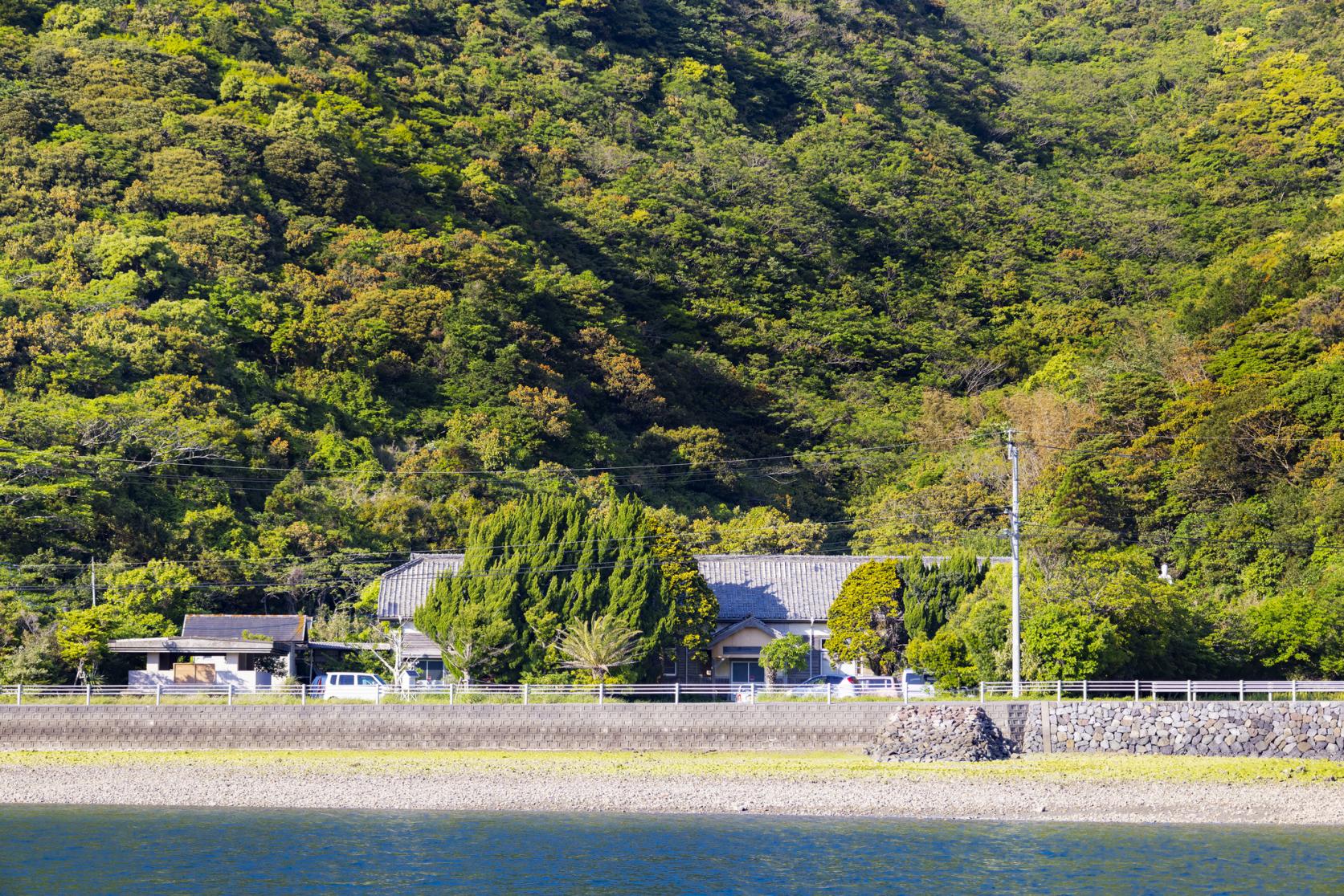 【第2天】田之浦港（14:09）-1