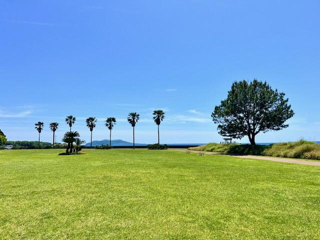 大浜高崎公園-1