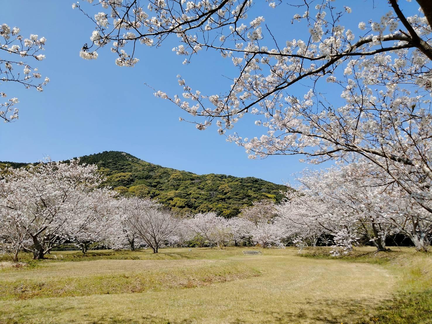 宮之森綜合公園露營區（奈留島）-1