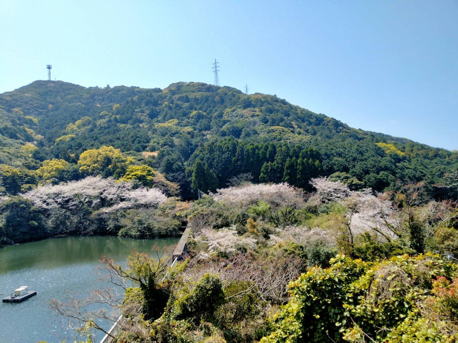 樫ノ木山ダム周辺（奈留島）-1