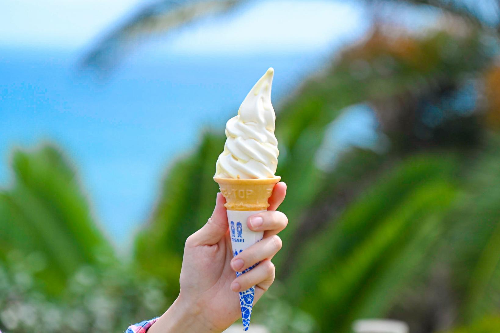 地元民に人気！「五島椿物産館」の週替わりソフトクリームを食べるべし！-0