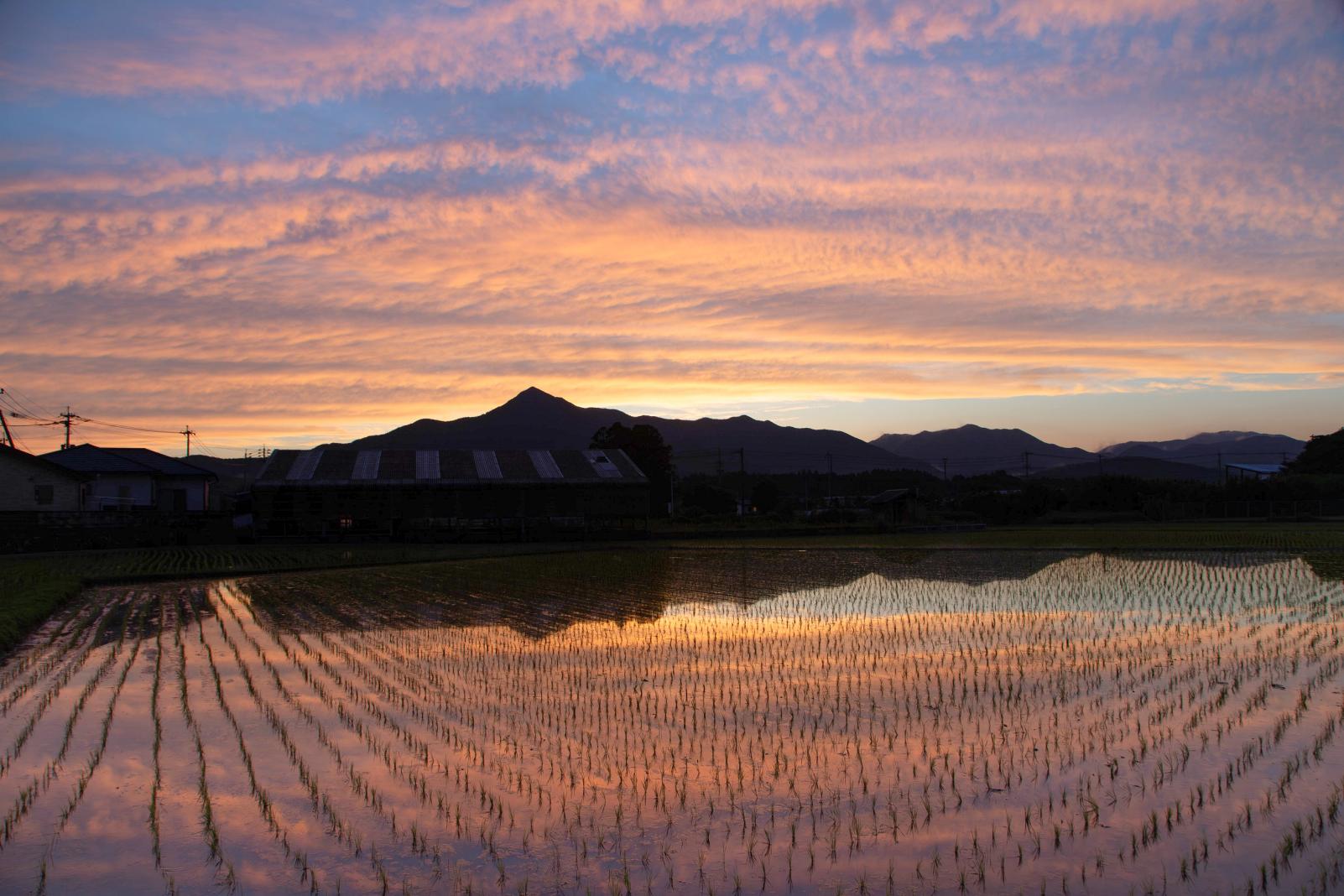 【夕焼け】田んぼのリフレクションが美しい夕陽-0