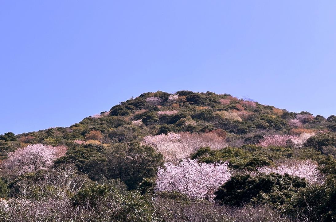 “旅したくなる五島”をお届けします！ 特集 五島の島たび【公式】 長崎県五島市の観光・旅行情報サイト