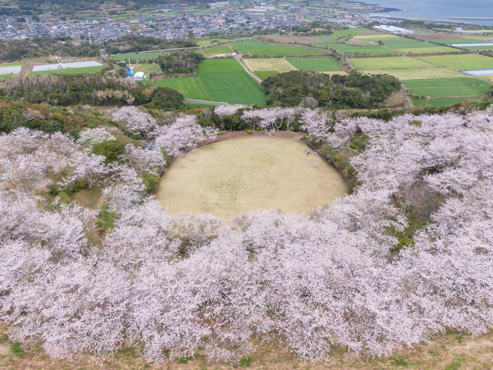 Spring scenery-0