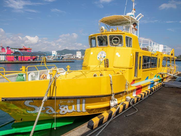 Glass-bottomed boat-3