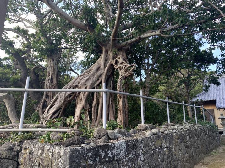 How to get to Ohshima Island-3