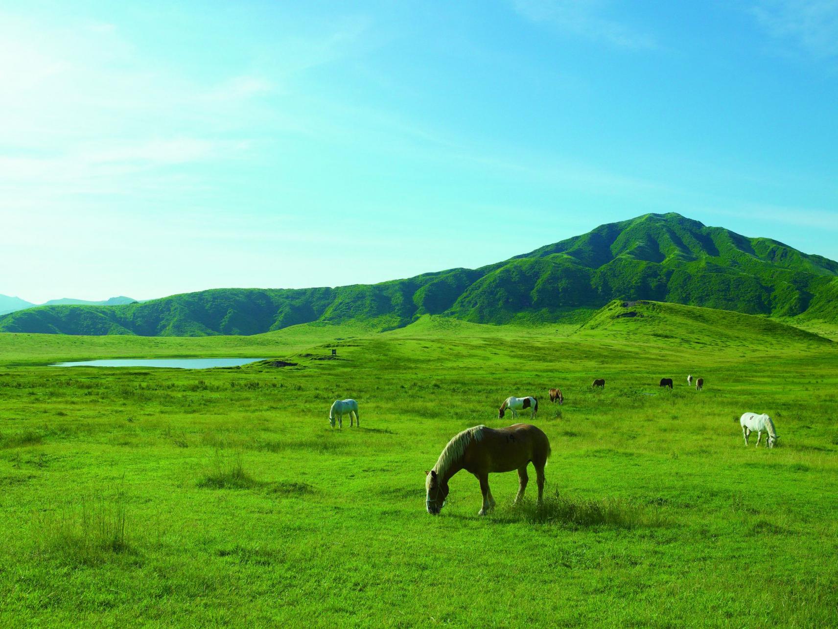 Journey to Kumamoto Prefecture-0