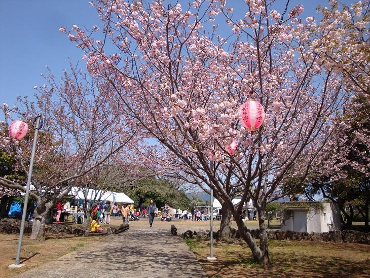 Tomie Cherry Blossom Festival-0