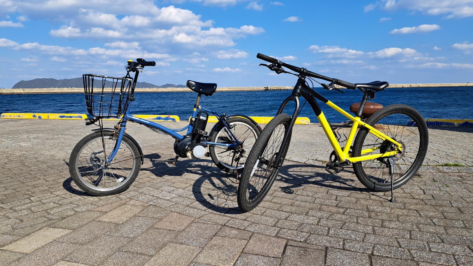 Facilities that offer rental bicycles-0