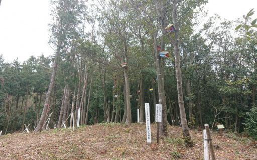 Mt. Oto-2