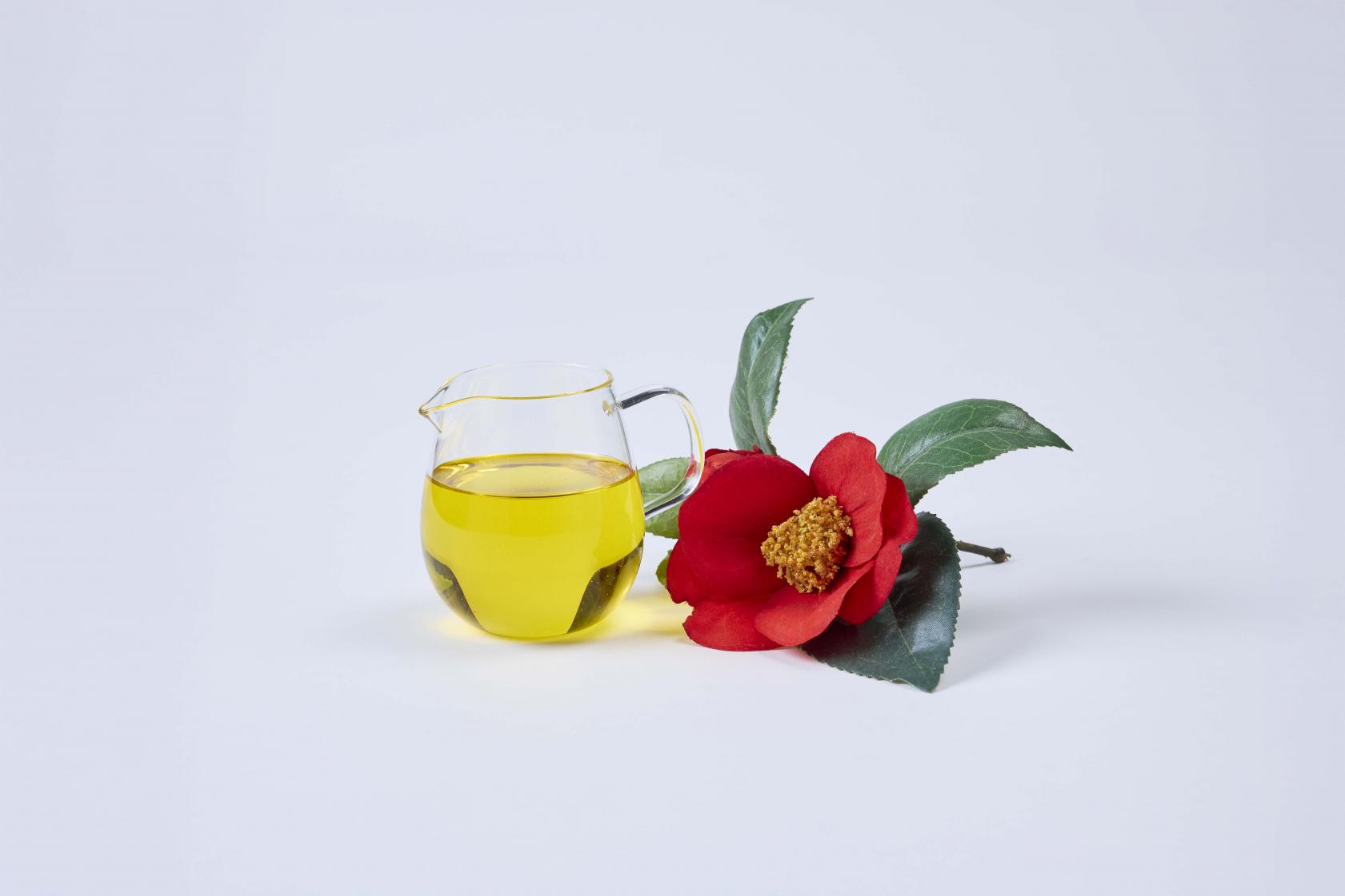 鑑賞山茶花、體感山茶花-0