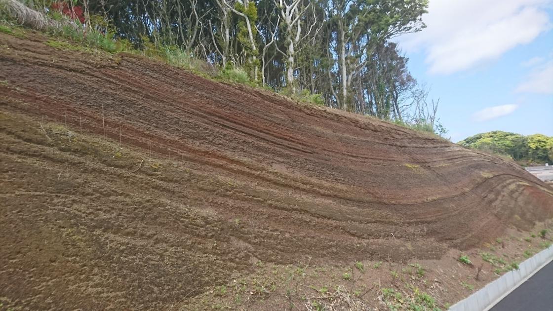 大地から感じる五島の魅力（ジオサイト） | 特集 | 五島の島たび【公式】- 長崎県五島市の観光・旅行情報サイト