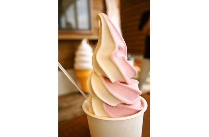 【福江】おいしい塩が大人気！五島自慢の産品が揃う「五島椿物産館」-5
