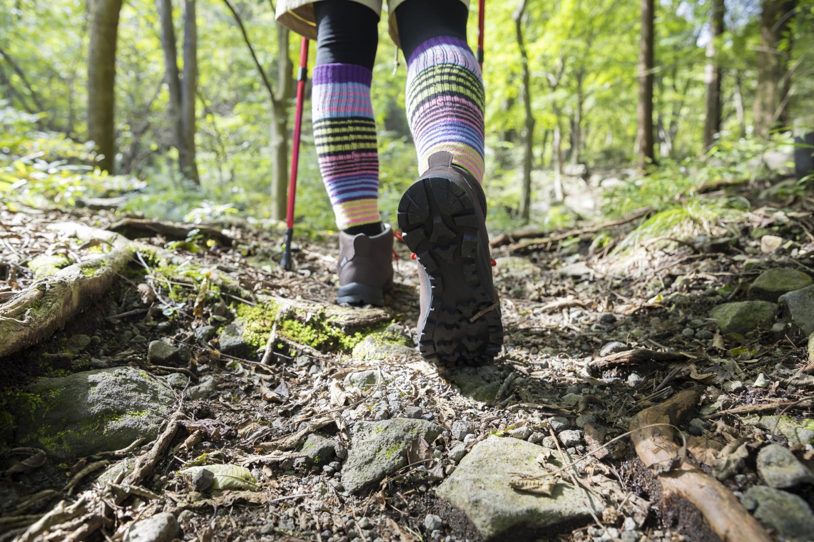 Mt. Onidake and Cape Osezaki trekking route-1