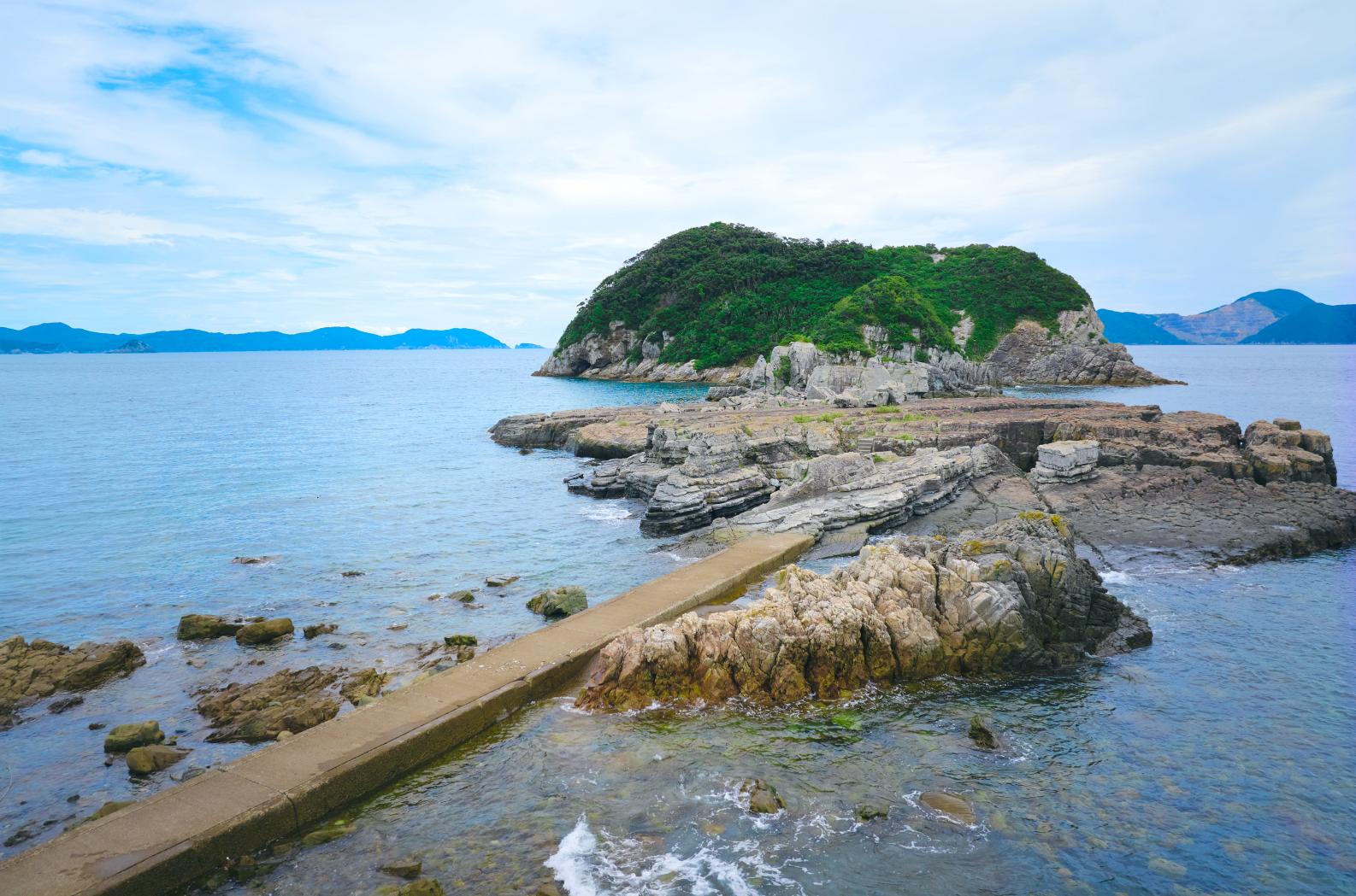 ④舅ヶ島（しゅうとがしま）千畳敷-1