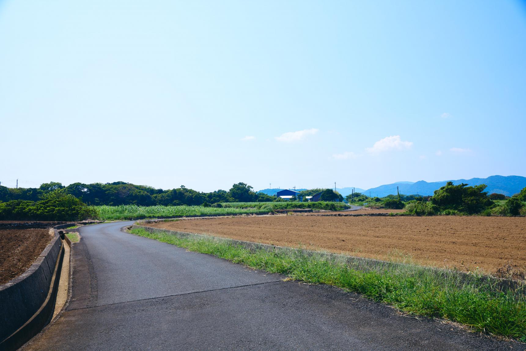 富江ブルーラインコース（サイクリング）-5