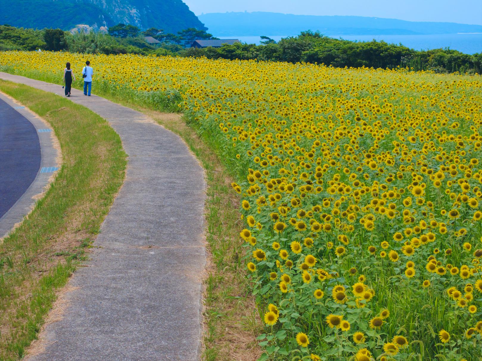 魚津崎公園-9