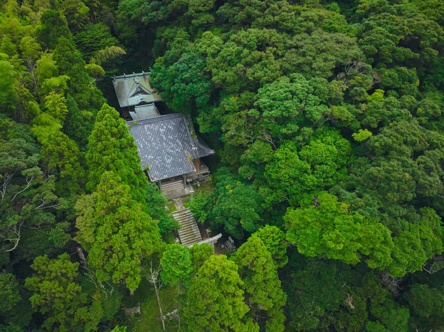 白鳥神社-9