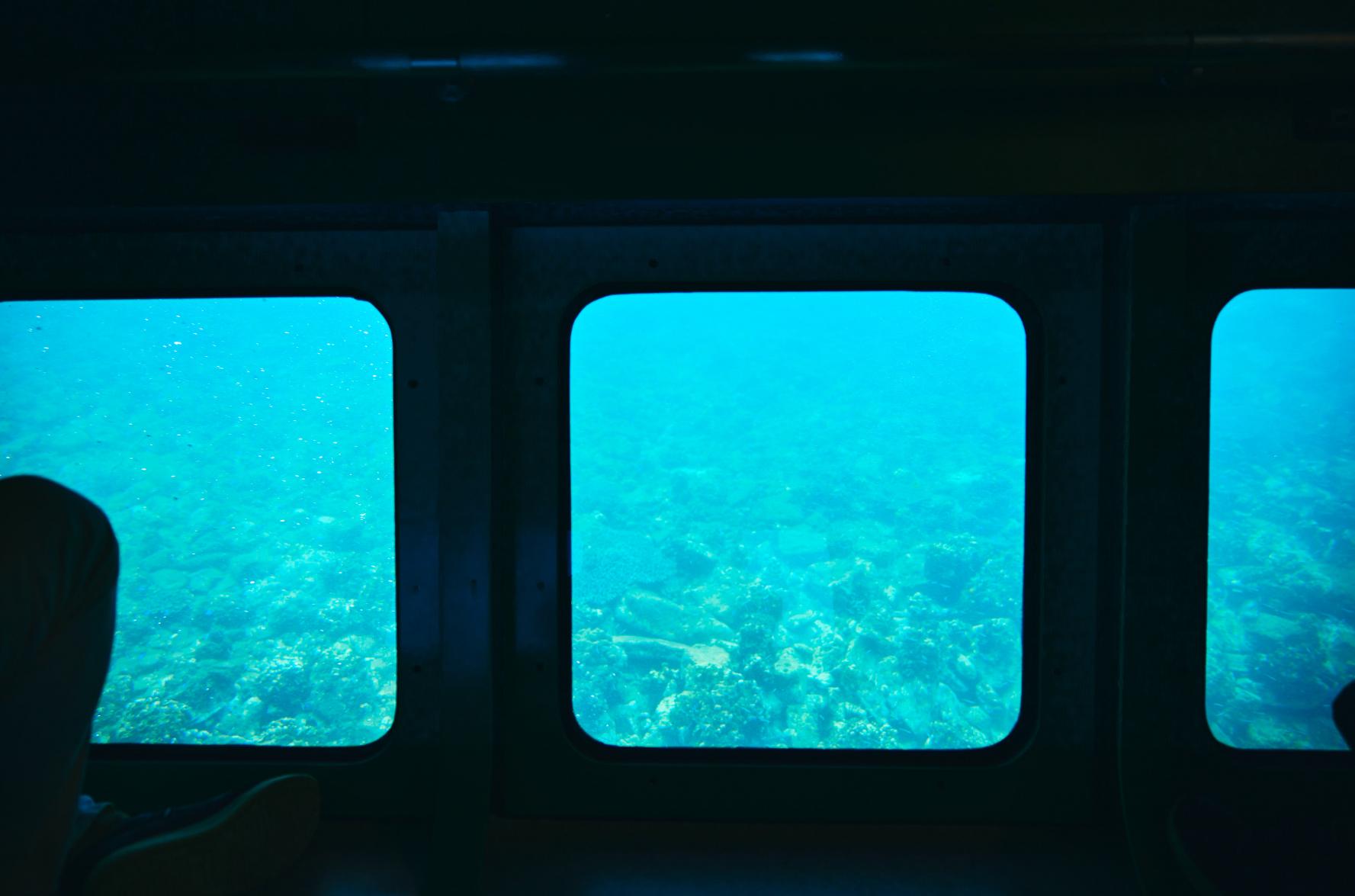 "Seagull" glass-bottom boat trip around Takenoko Island-8