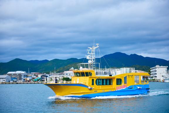 "Seagull" glass-bottom boat trip around Takenoko Island-0