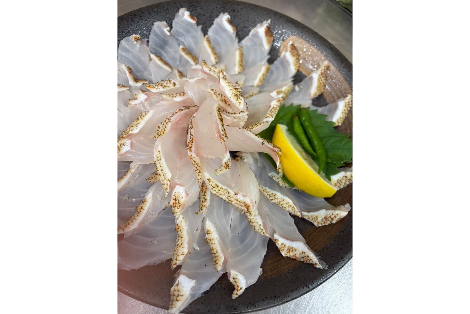 海達磨-4