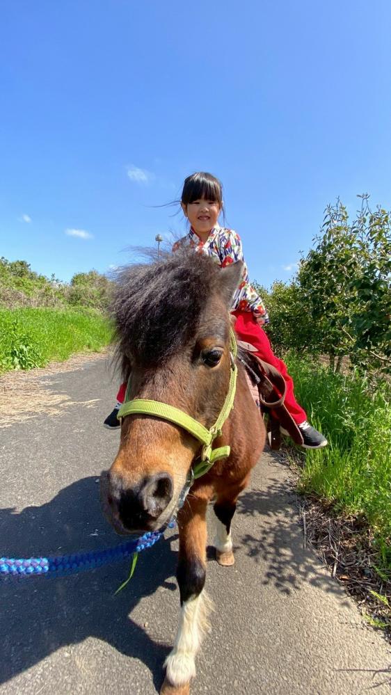 観光乗馬体験（馬処ONDAKE）-3