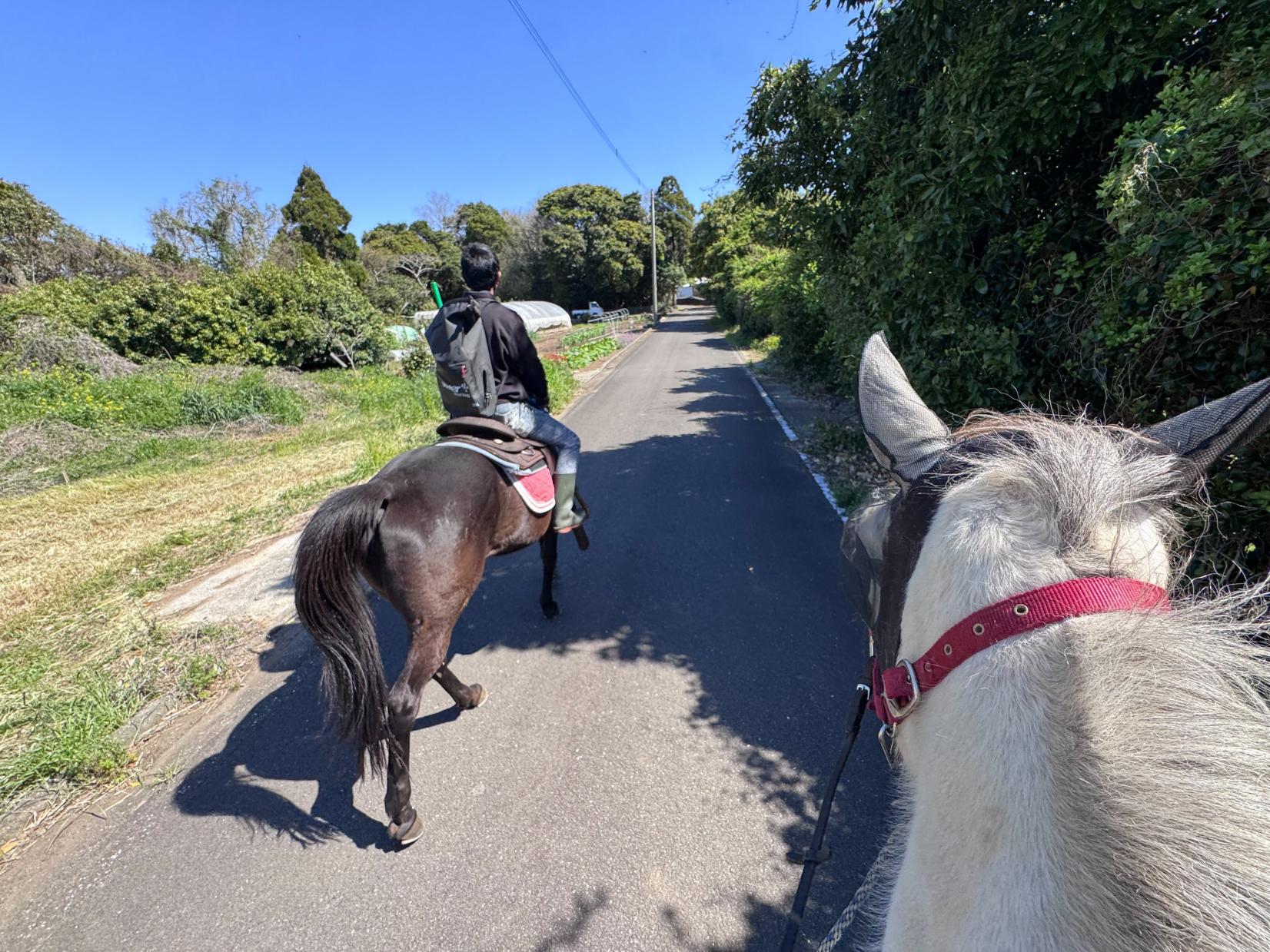 観光乗馬体験（馬処ONDAKE）-2