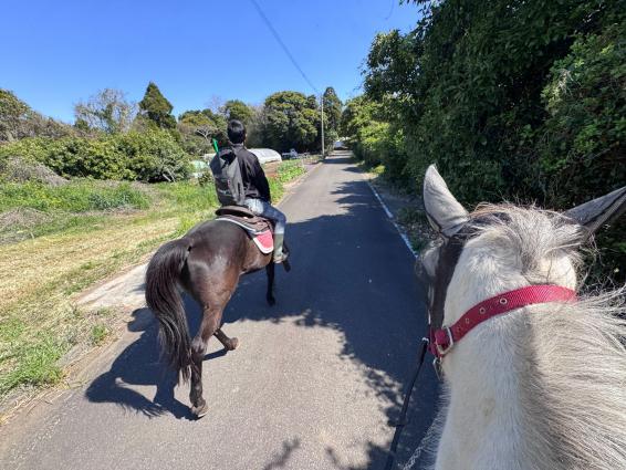 観光乗馬体験（馬処ONDAKE）-2