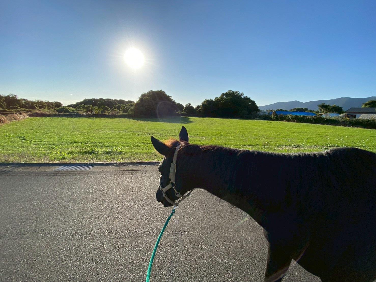 観光乗馬体験（馬処ONDAKE）-1