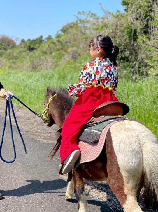 観光乗馬体験（馬処ONDAKE）-4